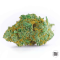 MASTER KUSH GRAND